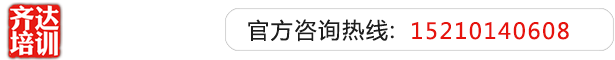 骚逼操逼齐达艺考文化课-艺术生文化课,艺术类文化课,艺考生文化课logo